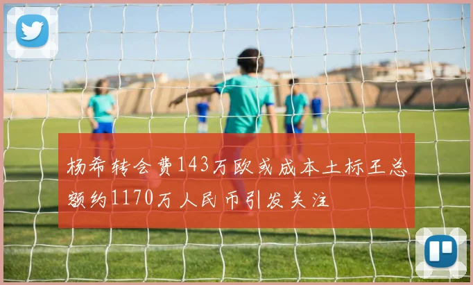 杨希转会费143万欧或成本土标王总额约1170万人民币引发关注